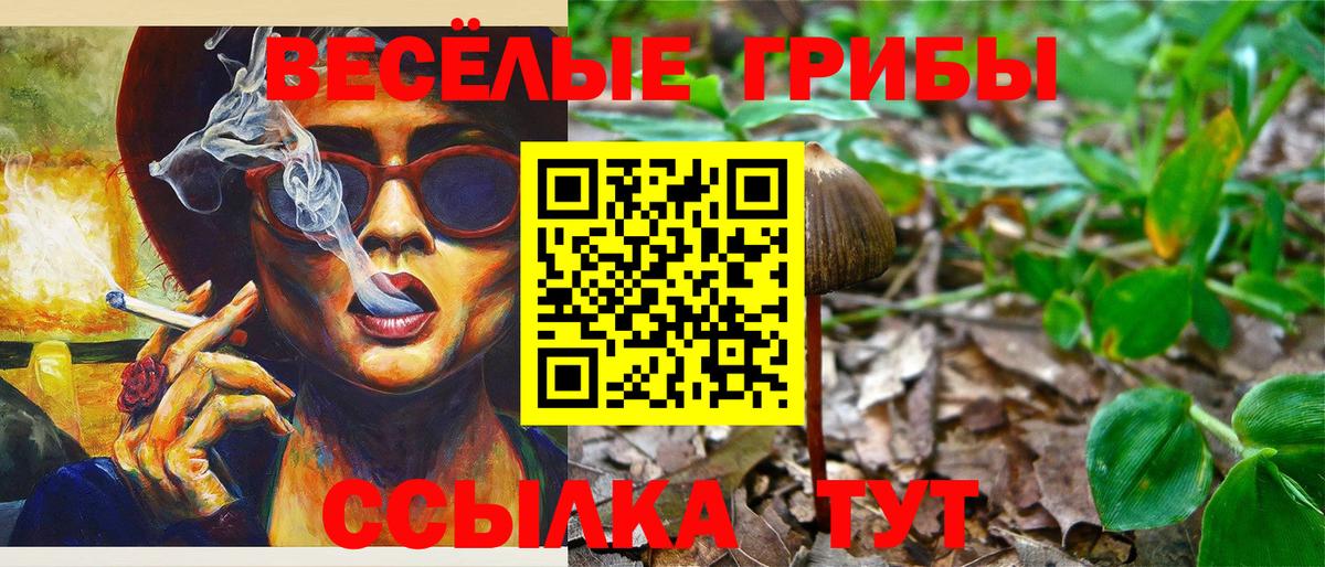 Псилоцибиновые грибы Magic Shrooms  Вход с VPN  Тихорецк 